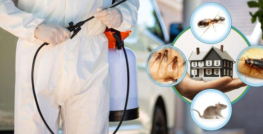 İznik Böcek İlaçlama