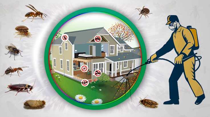 İznik Böcek İlaçlama