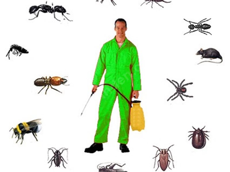 İznik Böcek İlaçlama